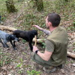Livade: Guided Truffle Hunting Walking Tour - The Truffle Hunt: What to Expect
