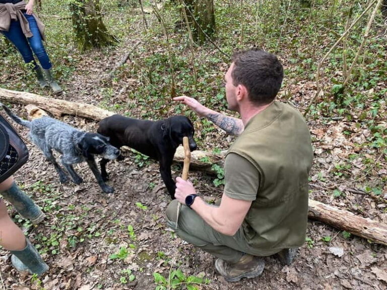 Livade: Guided Truffle Hunting Walking Tour - The Truffle Hunt: What to Expect