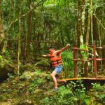 Live the adventure in 3 cenotes in the jungle! - Final Thoughts