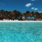 Live this unique experience. Catamaran to Isla Mujeres Tour. Open Bar included. - What Does Value Look Like?