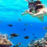 Live this unique snorkeling experience. El Cielo in Cozumel a magical tour. - Practical Aspects: Transportation, Group Size, and Cost