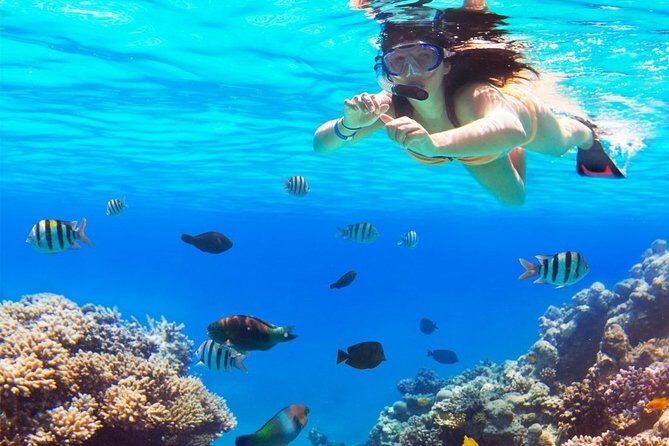 Live this unique snorkeling experience. El Cielo in Cozumel a magical tour. - Practical Aspects: Transportation, Group Size, and Cost