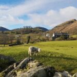 Liverpool: Lake District Tour with Lake Cruise & Train Ride - What’s Included and What to Consider