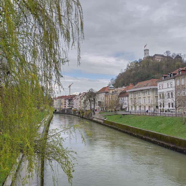 Ljubljana: Private Guided City Tour - How the Tour Works