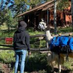 Llama to Lunch in the Rocky Mountains - Final Thoughts