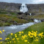 Local Guide Private Tour from Ísafjörður-Flexible Itinerary - Why Choose a Private, Flexible Tour?