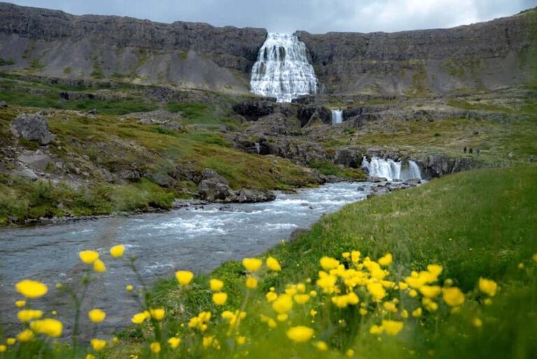 Local Guide Private Tour from Ísafjörður-Flexible Itinerary - Why Choose a Private, Flexible Tour?