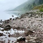 Loch Ness, Culloden, Clava and whisky/gin tour from Inverness. - Transportation and Practicalities