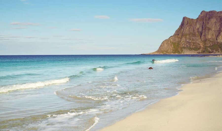 Lofoten: Full-Day Tour with a Local Chinese-Speaking Guide - A Detailed Look at the Itinerary