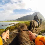 Lofoten: Guided Horse Riding Tour Over Hov and Hovsund - What Makes the Horses and Guides Special?