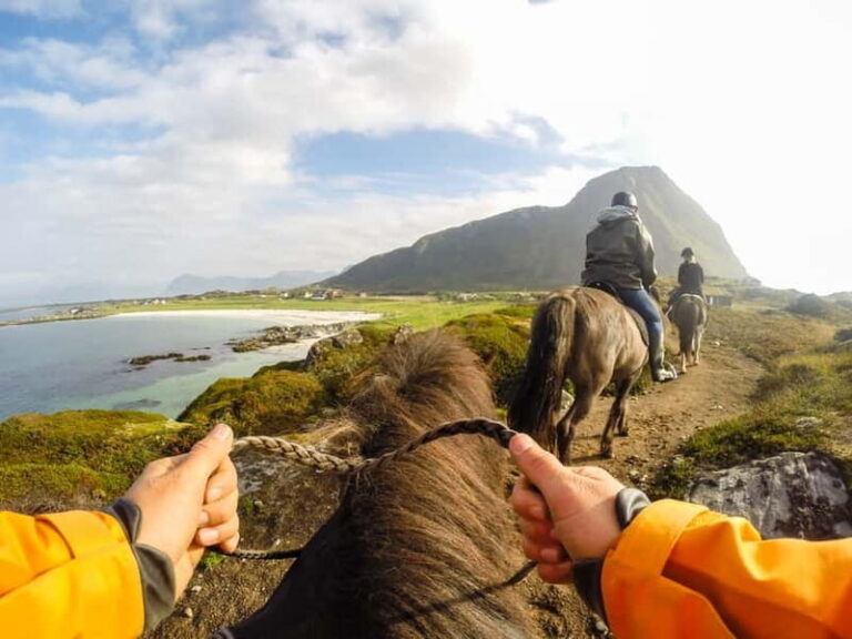 Lofoten: Guided Horse Riding Tour Over Hov and Hovsund - What Makes the Horses and Guides Special?