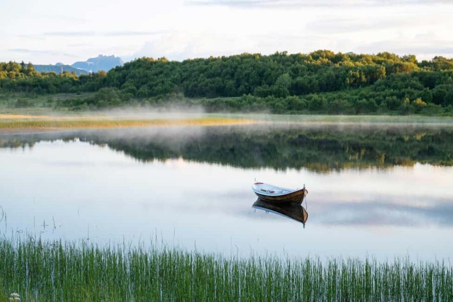 Lofoten: Half-Day Guided Tour with local guide Photo Stops - Exploring the Stops: What Youll See