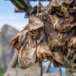 Lofoten: Hamnøy & Reine Private Photo Tour - An In-Depth Look at the Tour Experience