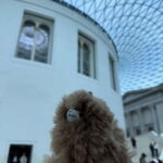 London: British Museum Private Guided Tour - Why This Tour Works Well