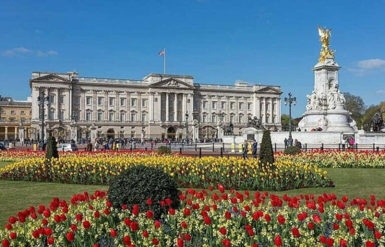 London: Buckingham Palace & Royal City Walking Tour - Westminster and the Political Powerhouses