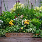 London: Customized Half-Day Private Tour with a Local - FAQ