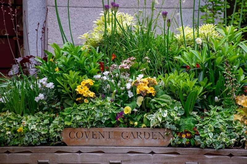 London: Customized Half-Day Private Tour with a Local - FAQ