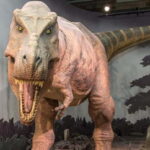 London: Natural History Museum + Guided Tour+ Priority Entry - Practical Details and Tips