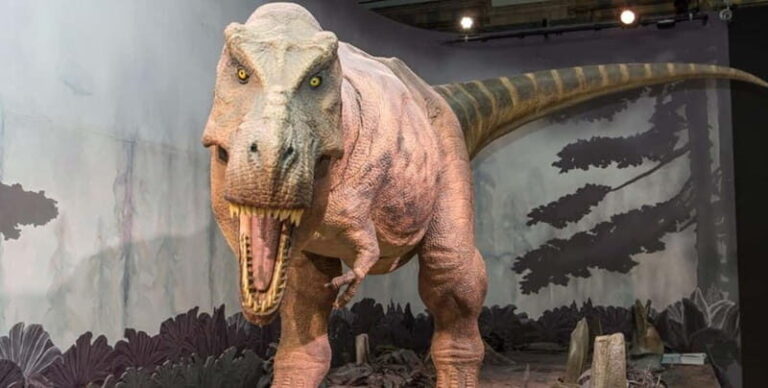 London: Natural History Museum + Guided Tour+ Priority Entry - Practical Details and Tips