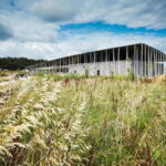 London: Stonehenge Morning or Afternoon Tour Optional Lunch - The Itinerary Breakdown: What to Expect