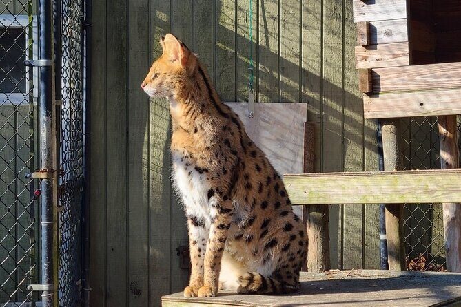 Long Island Farm & Wildplay Jones Beach Tour | Kids 50% Off - FAQ