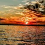 Los Angeles #1: Luxury Boat Cruise-Wine, Cheese & Sea Lions - Who Will Love This Tour?