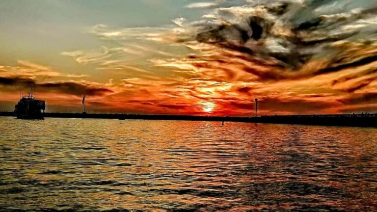 Los Angeles #1: Luxury Boat Cruise-Wine, Cheese & Sea Lions - Who Will Love This Tour?