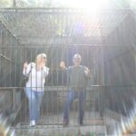 Los Angeles: 2.5hr MiniCar Guided Discover LA Tour YOU drive - Final Thoughts: Is It Worth It?