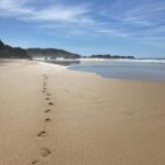 Los Angeles: 2-Day Private Surf Tour with Lunch - Is This Tour Worth the Price?