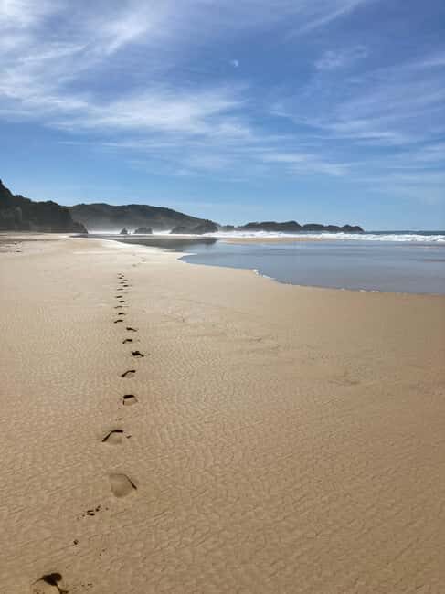 Los Angeles: 2-Day Private Surf Tour with Lunch - Is This Tour Worth the Price?