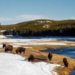 Los Angeles: 7-Day Small Group Yellowstone Tour Round Trip - Starting in Los Angeles and Making a Scenic First Stop