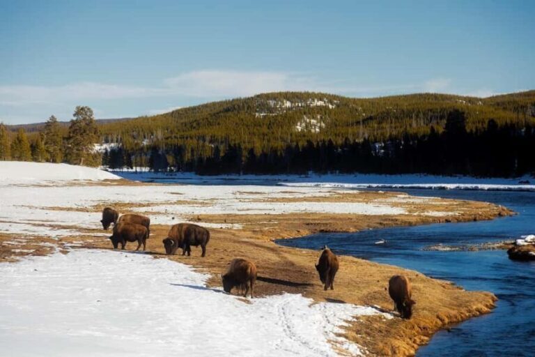 Los Angeles: 7-Day Small Group Yellowstone Tour Round Trip - Starting in Los Angeles and Making a Scenic First Stop