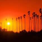 Los Angeles: 7-Hours City & Beach Tour With Hotel Pick Up - Hollywood: Where Glamour Meets Reality