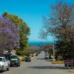 Los Angeles - Santa Barbara: Premium Chauffeur Transfer - Good To Know