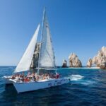 Los Cabos All Included Whale Watching Experience - The Value of the Tour