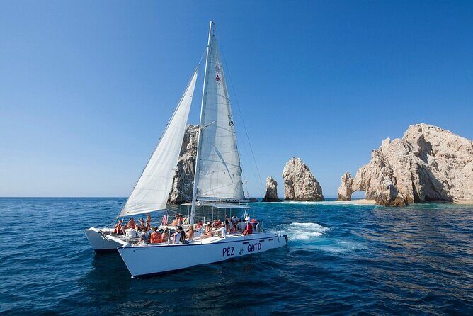 Los Cabos All Included Whale Watching Experience - The Value of the Tour