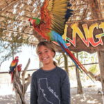 Los Cabos: Animal Encounter & Aqua Park Adventure - The Itinerary: What to Expect