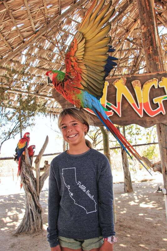 Los Cabos: Animal Encounter & Aqua Park Adventure - The Itinerary: What to Expect