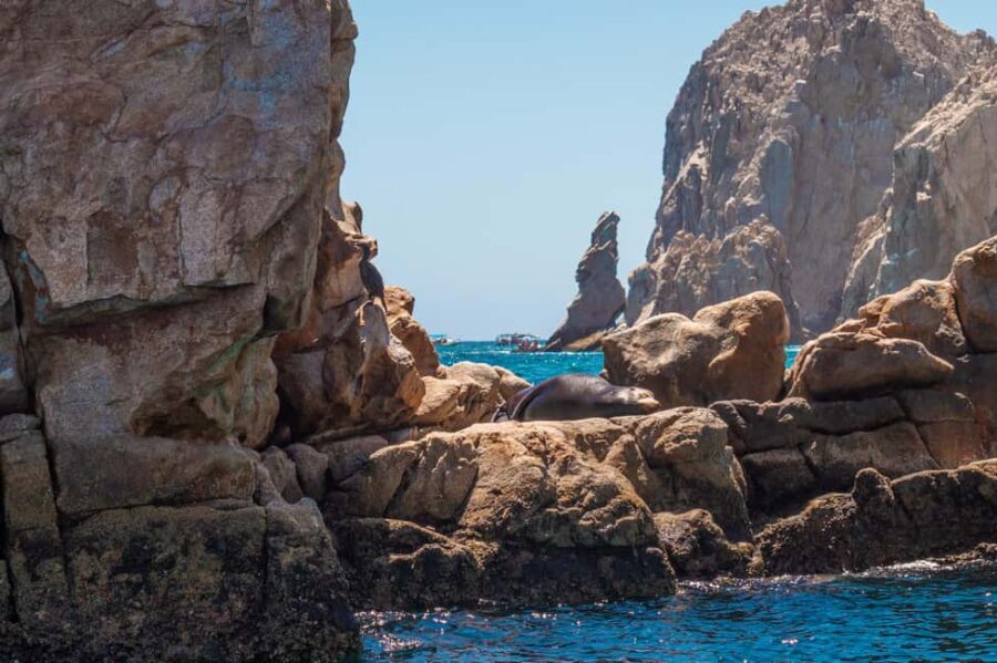 los cabos arch tour & drinks +snorkel tour - Potential Drawbacks and Considerations