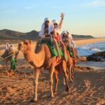 Los Cabos Camel Ride Adventure On The Beach - What the Tour Looks Like in Practice