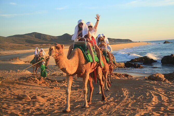 Los Cabos Camel Ride Adventure On The Beach - What the Tour Looks Like in Practice