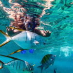 Los Cabos: El Arco, Chileno Beach, and Tequila Tasting Tour - Who Should Consider This Tour?