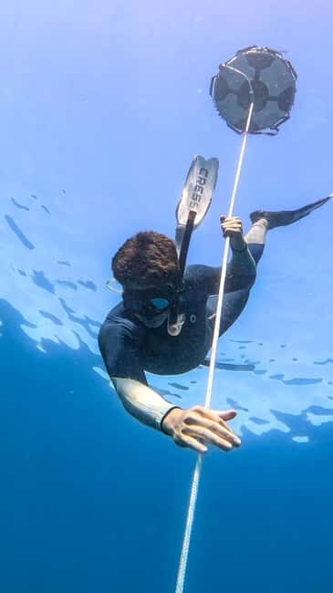 Los Cabos: freediving sessions - The Itinerary in Detail