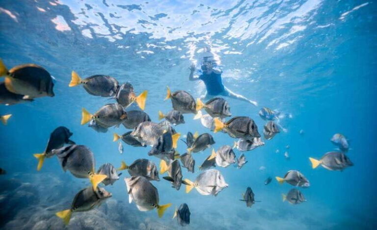 Los Cabos: Glass Bottom Kayak and Snorkel Tour at the Arch - Details That Matter