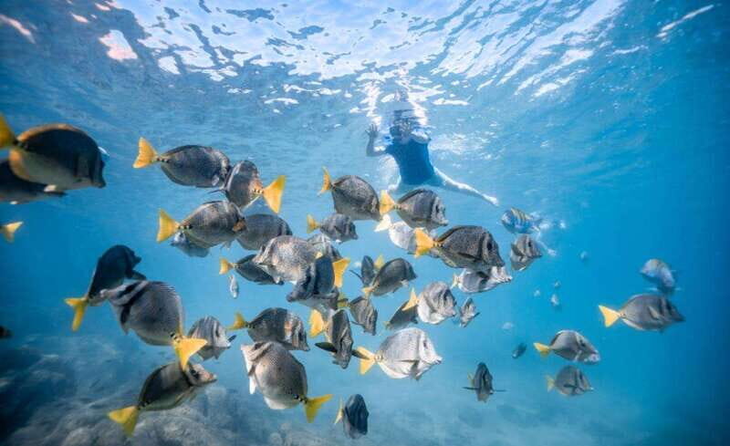 Los Cabos: Glass Bottom Kayak and Snorkel Tour at the Arch - Details That Matter