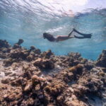 Los Cabos: Glass-Bottom Kayak and Snorkel Tour at Two Bays - Who Should Consider This Tour?