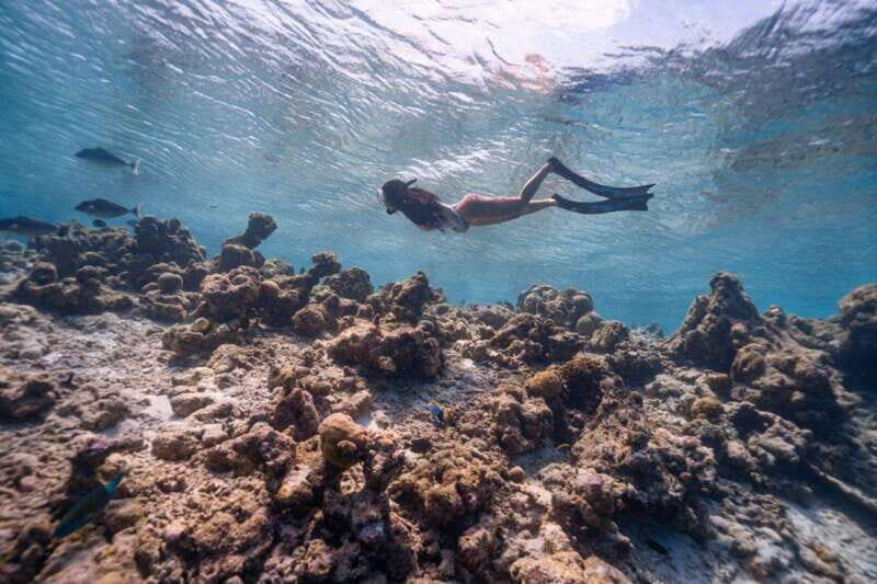 Los Cabos: Glass-Bottom Kayak and Snorkel Tour at Two Bays - Who Should Consider This Tour?