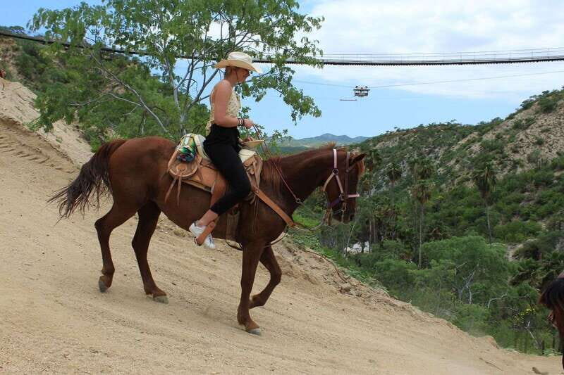 Los Cabos: Horseback Riding in Canyon a Mexican Experience - What to Expect During the Tour  