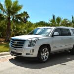 Los Cabos Luxury Escalade One-Way Airport Transfer - What to Expect on the Day