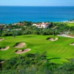 Los Cabos Luxury Private Tesla Transfer from Airport to Puerto Los Cabos Area - Detailed breakdown of the transfer experience